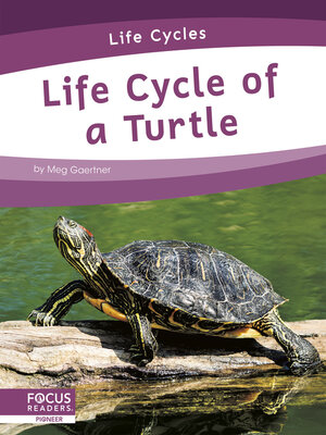 cover image of Life Cycle of a Turtle